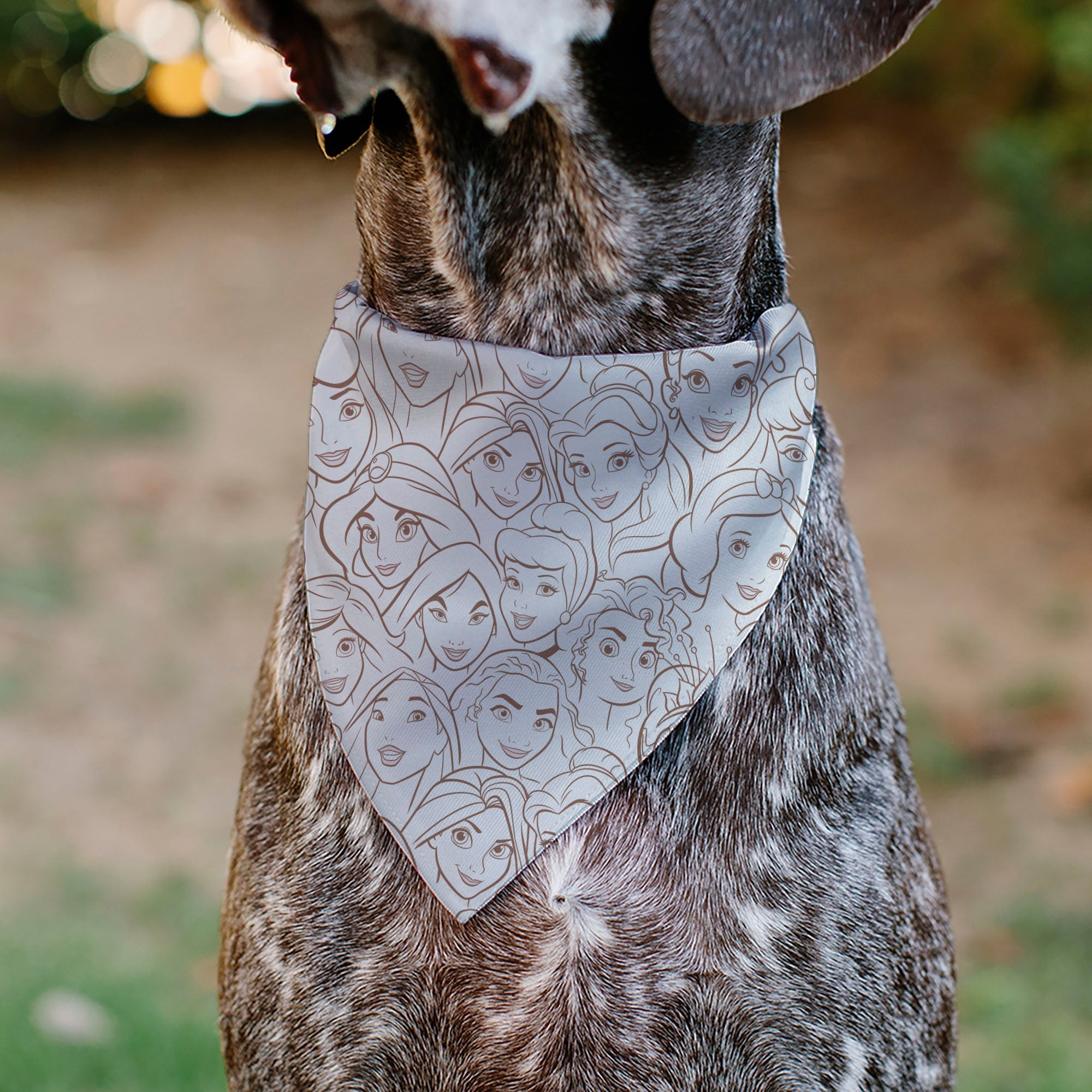 Pet Bandana - Disney Princess Faces Stacked White/Brown