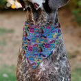 Load image into Gallery viewer, Pet Bandana - Disney Princess Pose and Quote Pop Art Blocks Multi Color

