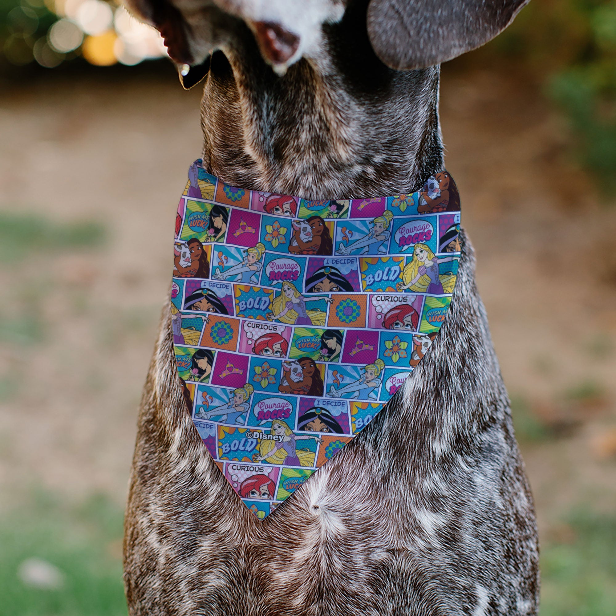 Pet Bandana - Disney Princess Pose and Quote Pop Art Blocks Multi Color