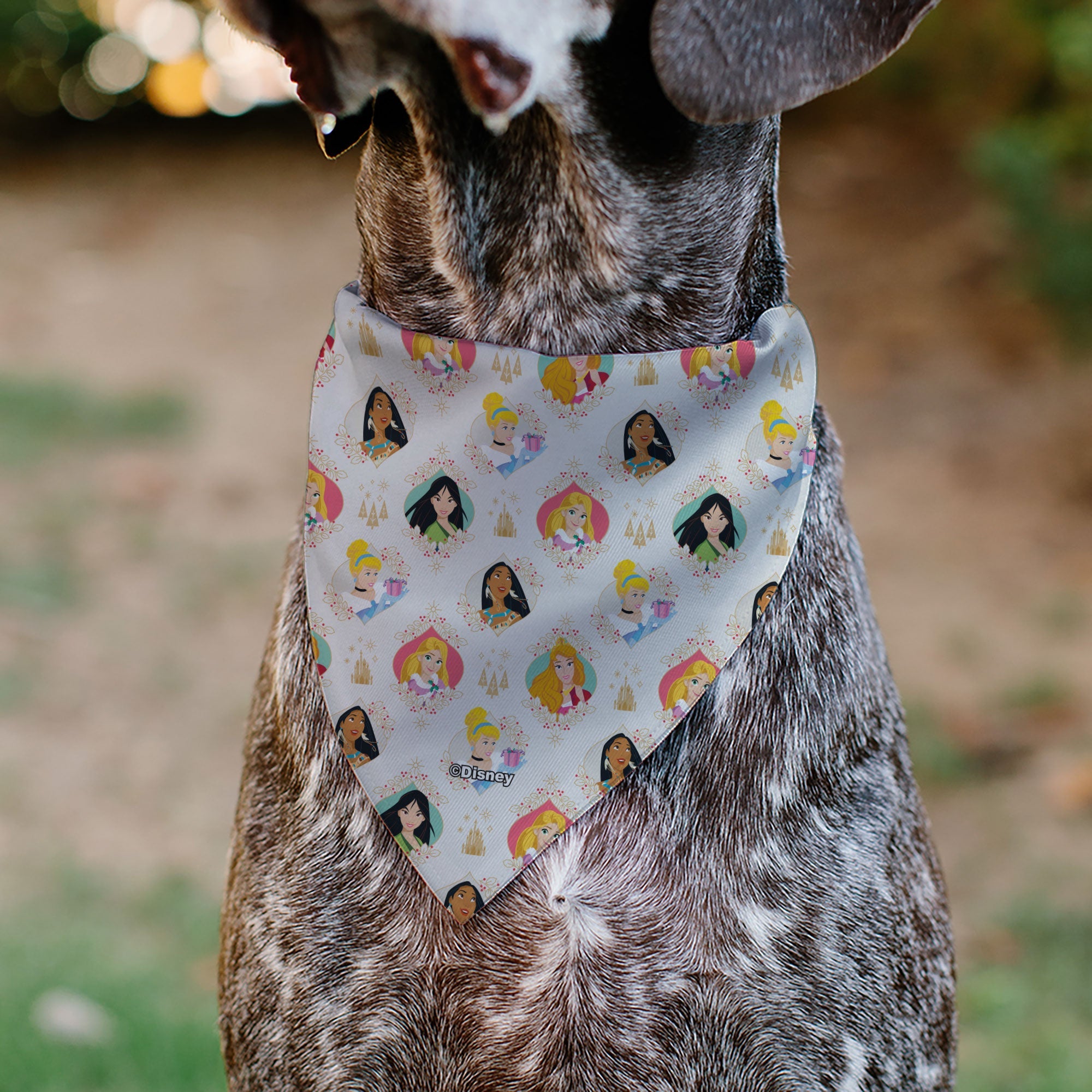 Pet Bandana - Disney Holiday Princess Poses and Icons Beige/Tan/Red