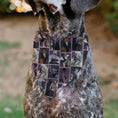 Load image into Gallery viewer, Pet Bandana - Disney Villains Pose Blocks
