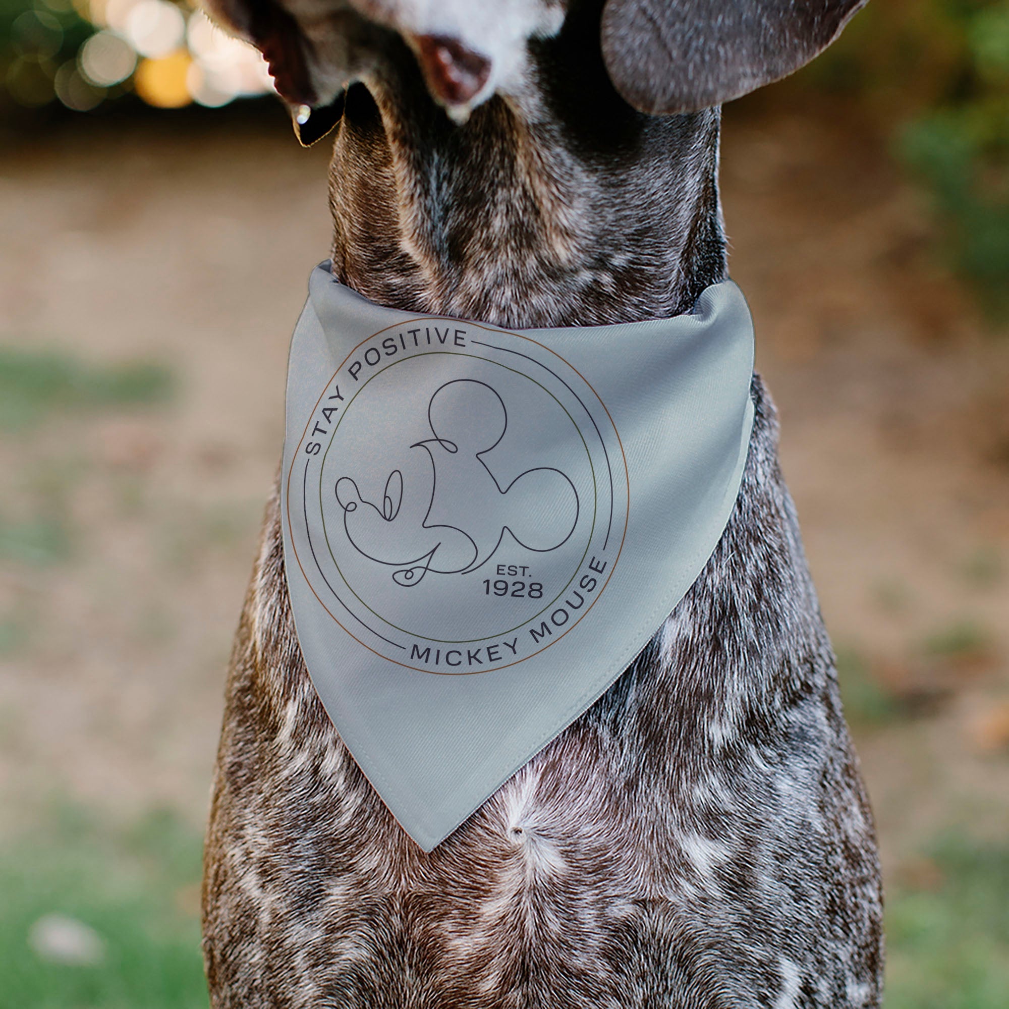 Pet Bandana - Mickey Mouse STAY POSITIVE Line White/Multi Color