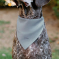 Load image into Gallery viewer, Pet Bandana - Mickey Mouse STAY POSITIVE Line White/Multi Color
