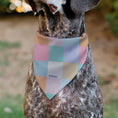 Load image into Gallery viewer, Pet Bandana - Minnie Mouse and Daisy Duck with Figaro and Fifi FRIENDS FUR-EVER Multi Color
