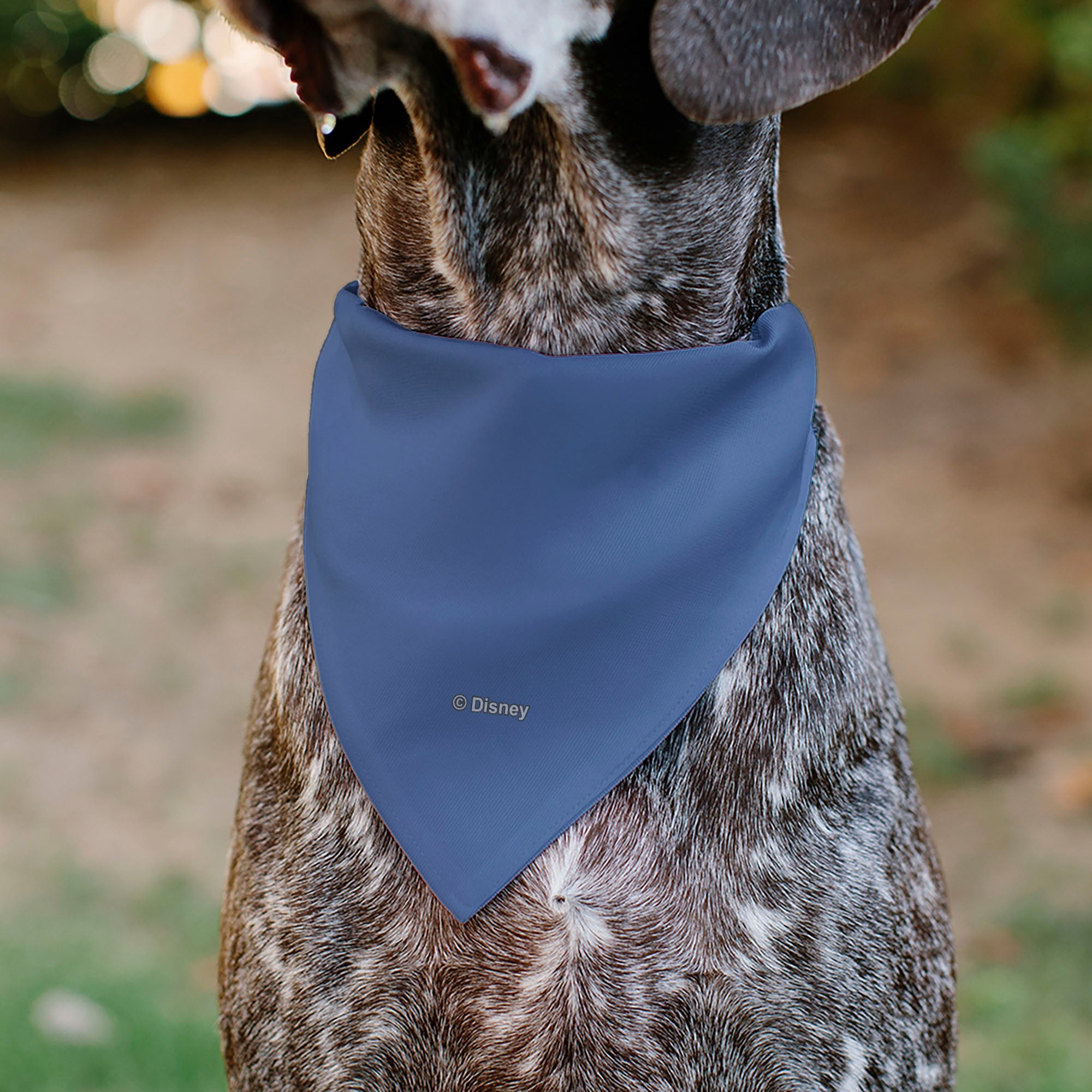 Pet Bandana - Disney Five Princesses Group Pose and Flowers Blues