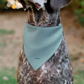Load image into Gallery viewer, Pet Bandana - Moana Standing Pose and Plants Greens

