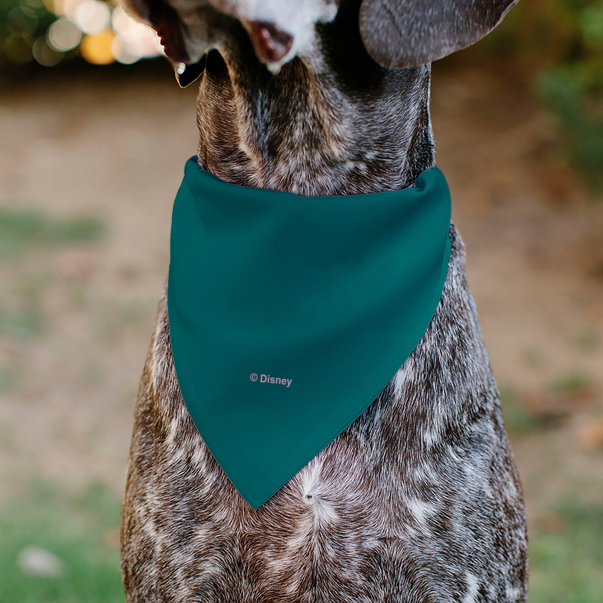 Pet Bandana - The Lion King Timon CHILL VIBES Hula Pose Blue/Multi Color