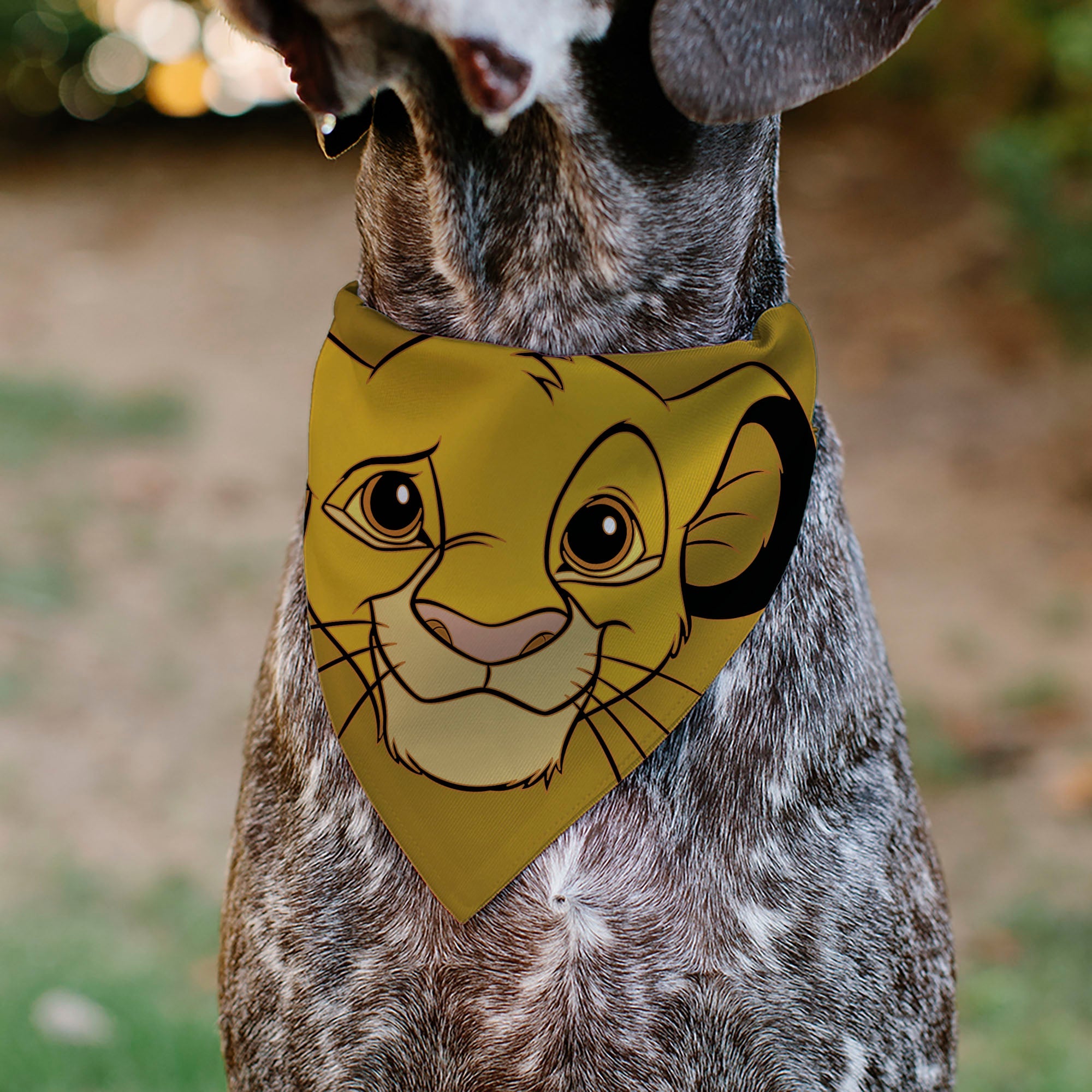 Pet Bandana - Lion King Young Simba Face Close-Up Orange