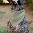 Load image into Gallery viewer, Pet Bandana - Rapunzel NEVER STOP EXPLORING Castle Pose Beige/Red/White
