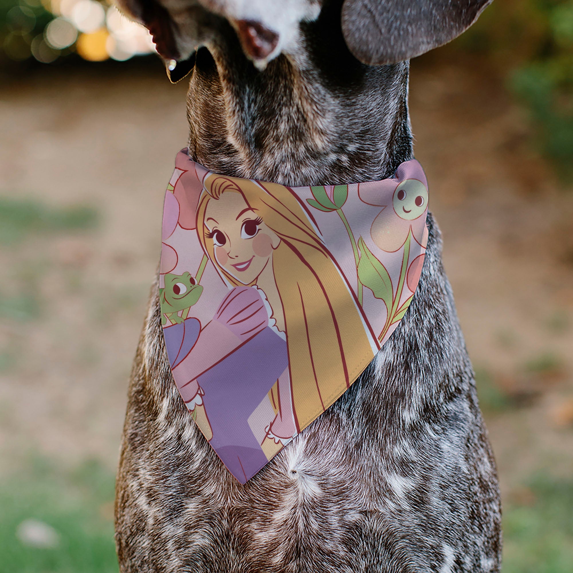 Pet Bandana - Tangled Rapunzel and Pascal Flowers Pose Pinks