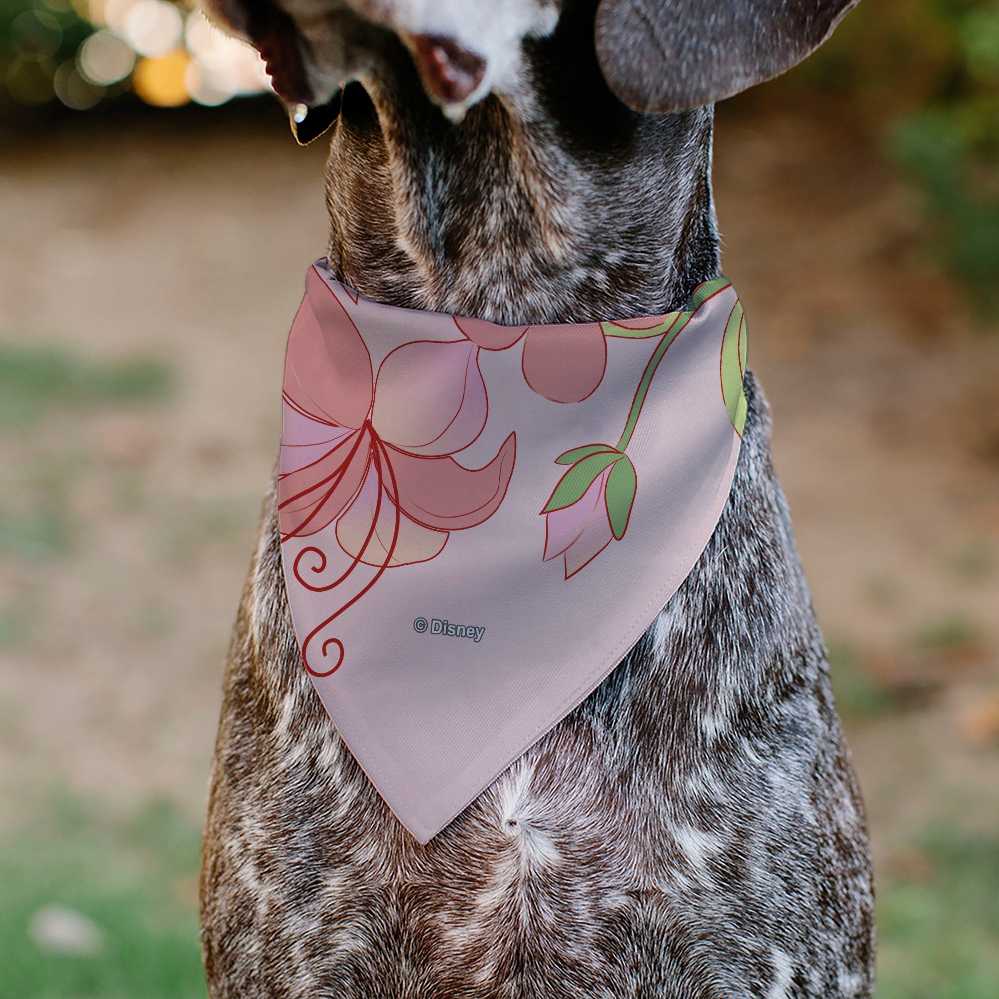 Pet Bandana - Tangled Rapunzel and Pascal Flowers Pose Pinks