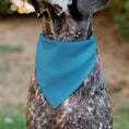 Load image into Gallery viewer, Pet Bandana - Cinderella Face Pose Close-Up Blues
