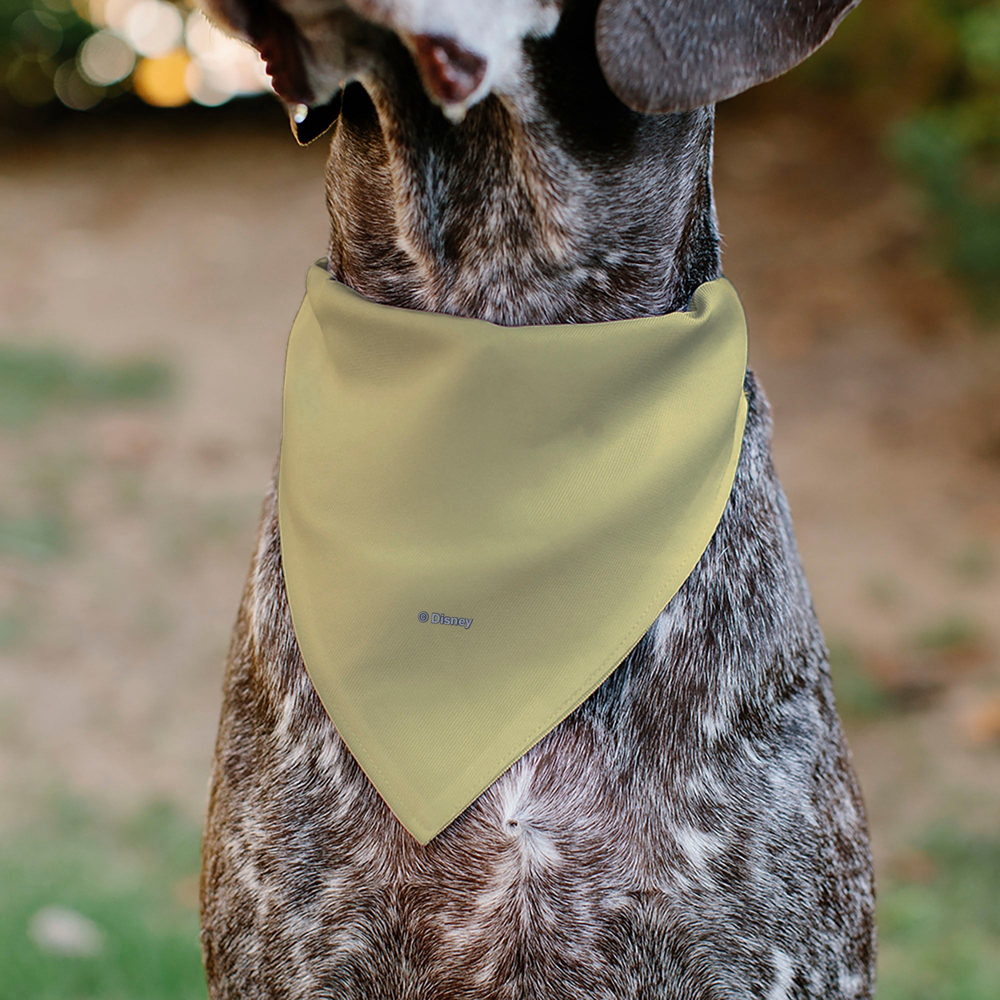 Pet Bandana - Snow White Smiling Face Pose Yellow
