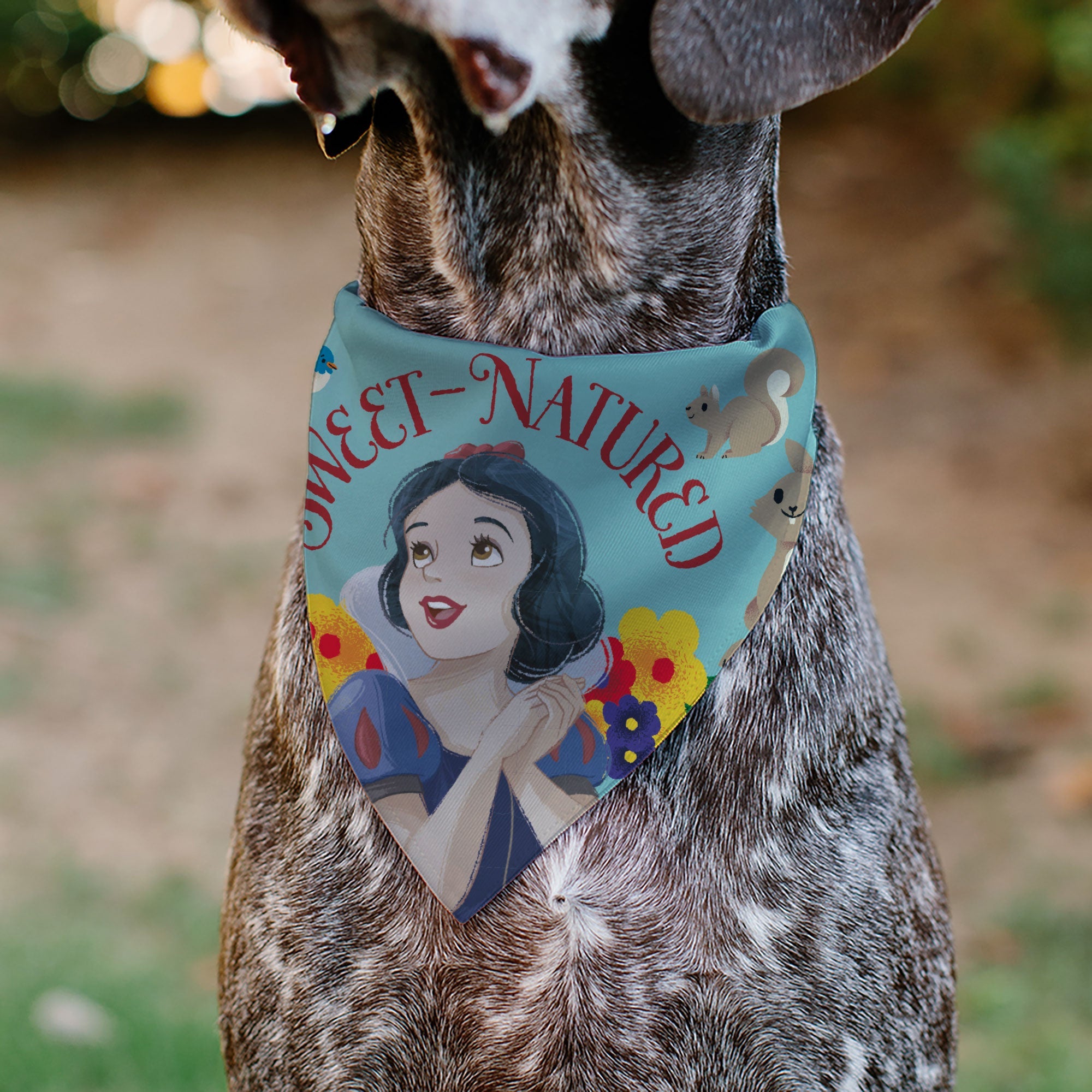 Pet Bandana - Snow White SWEET NATURED Pose Blue