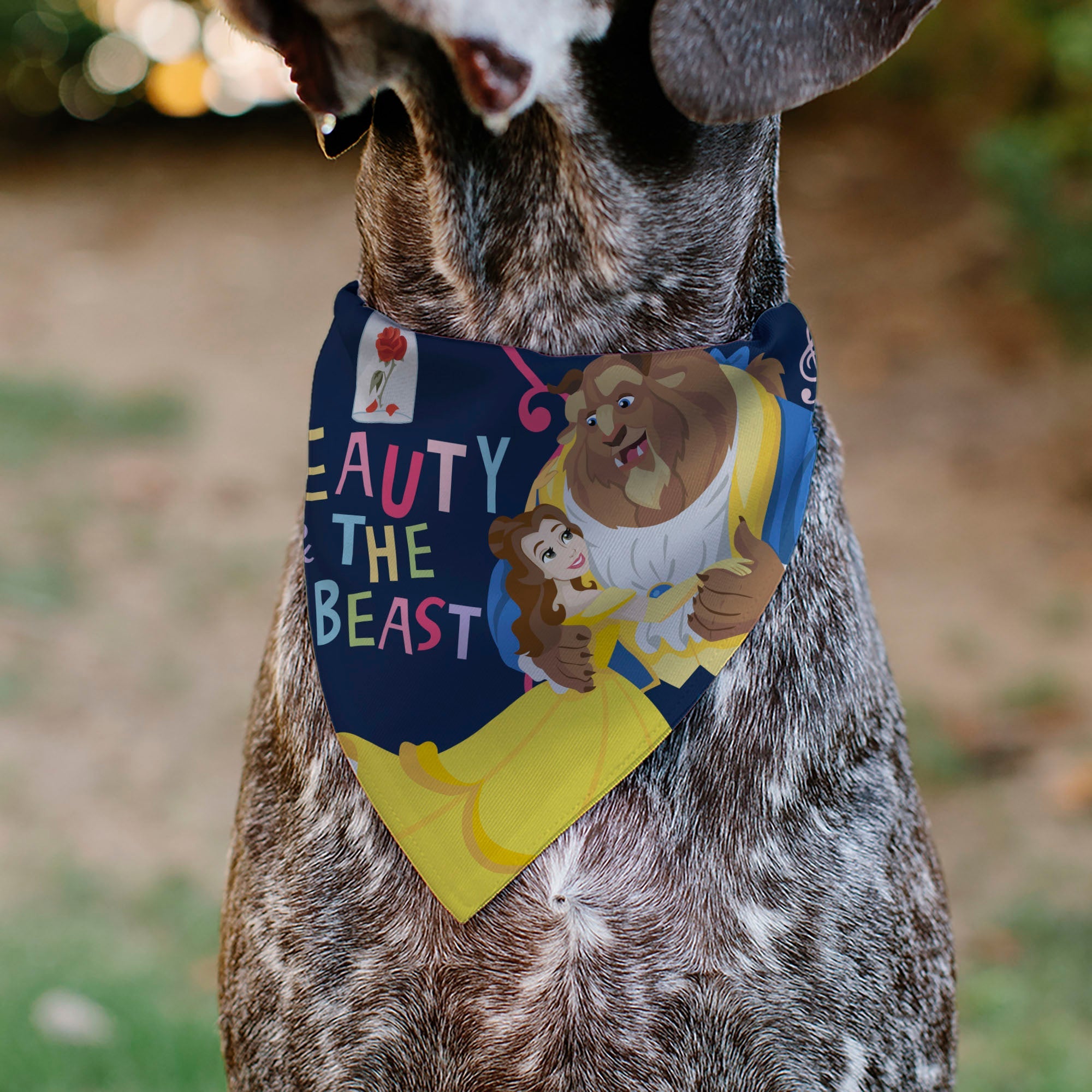Pet Bandana - BEAUTY & THE BEAST Belle and Beast Dancing Pose Blue/Multi Color