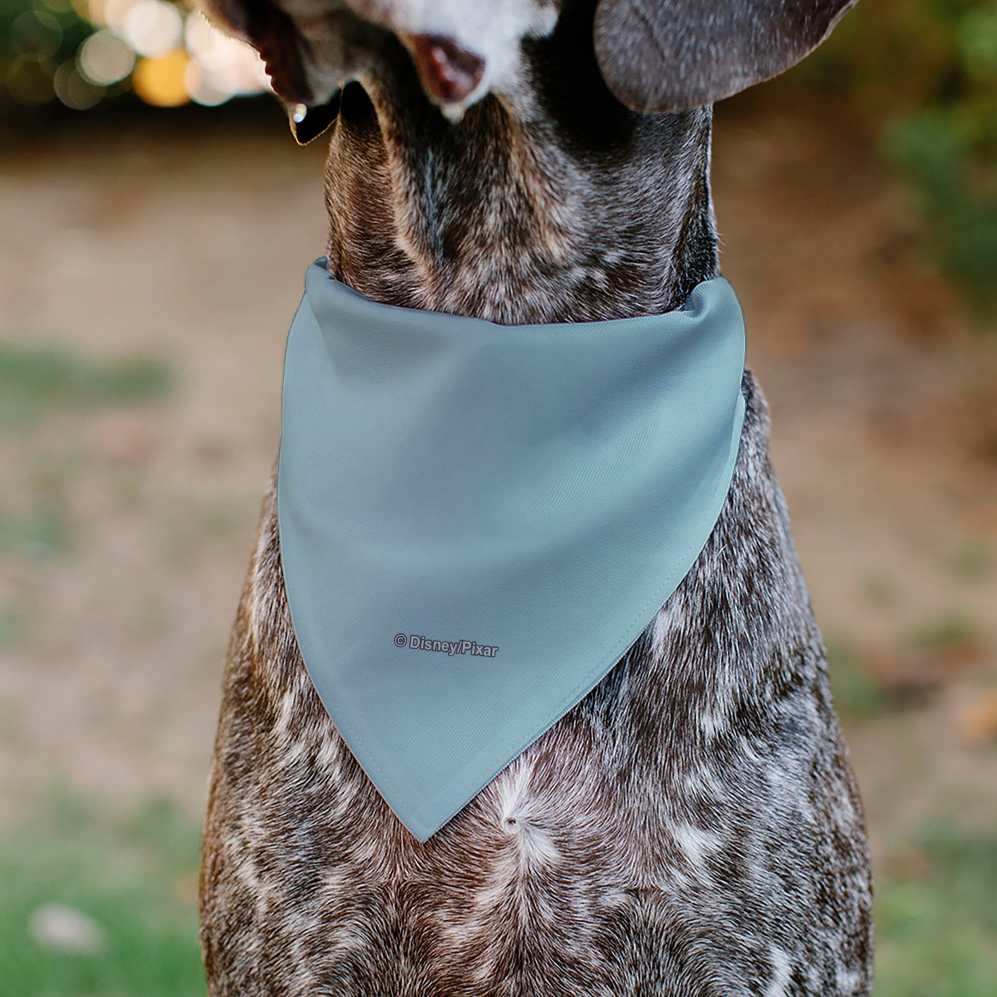 Pet Bandana - Toy Story Buzz Lightyear WAY BEYOND Pose Light Blue