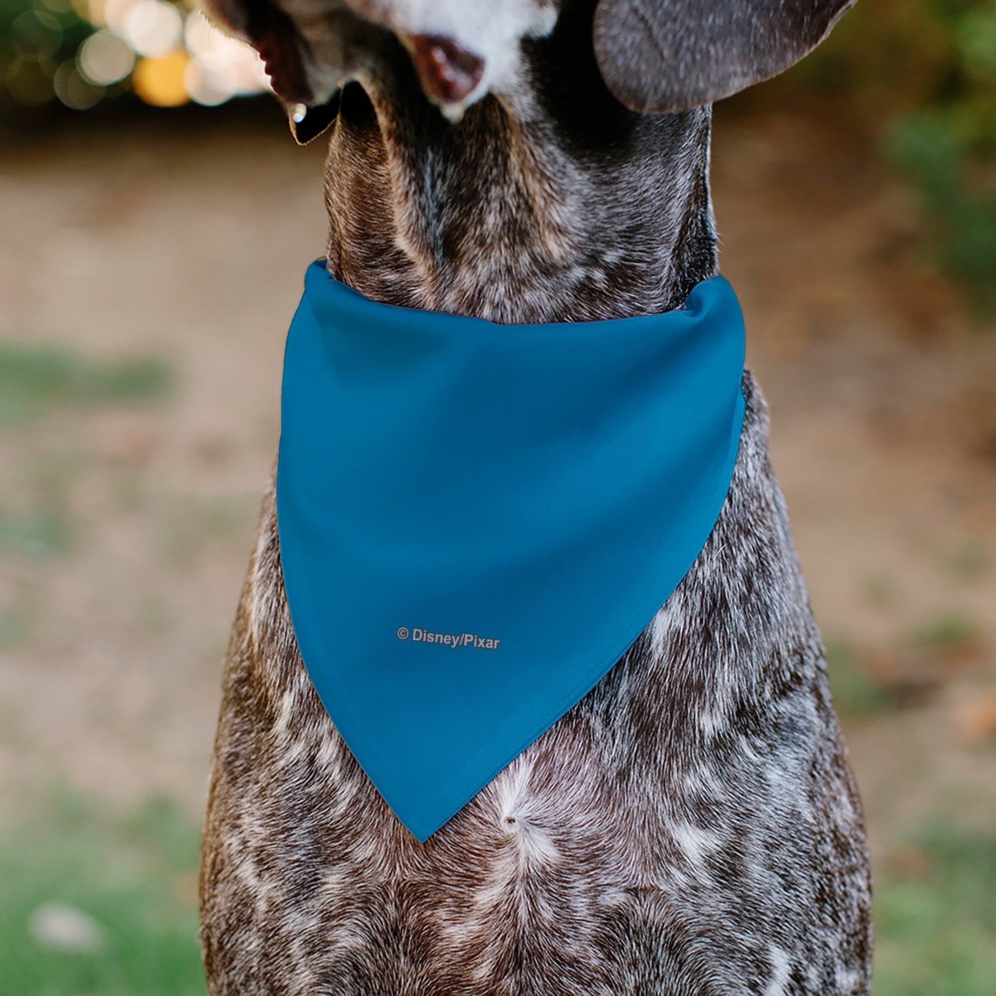 Pet Bandana - Toy Story Rex Pop Art Pose Blue/Multi Color