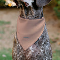 Load image into Gallery viewer, Pet Bandana - Toy Story Bo Peep LEADERSHIP GOALS Staff Pose Pink/Blue/White
