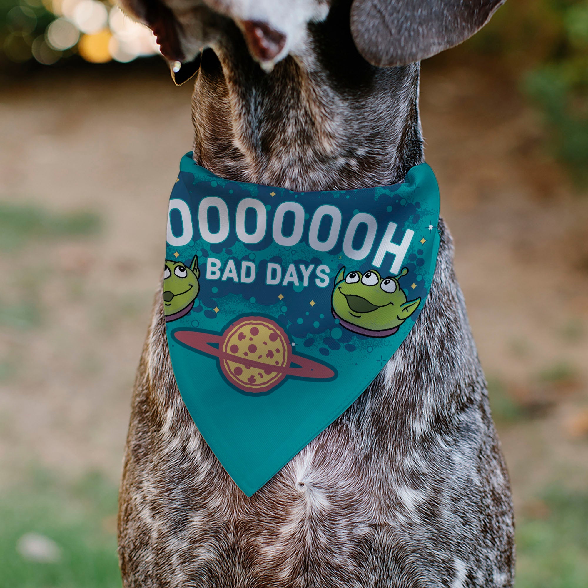 Pet Bandana - Toy Story Aliens NOH BAD DAYS Pizza Planet Pose Blues