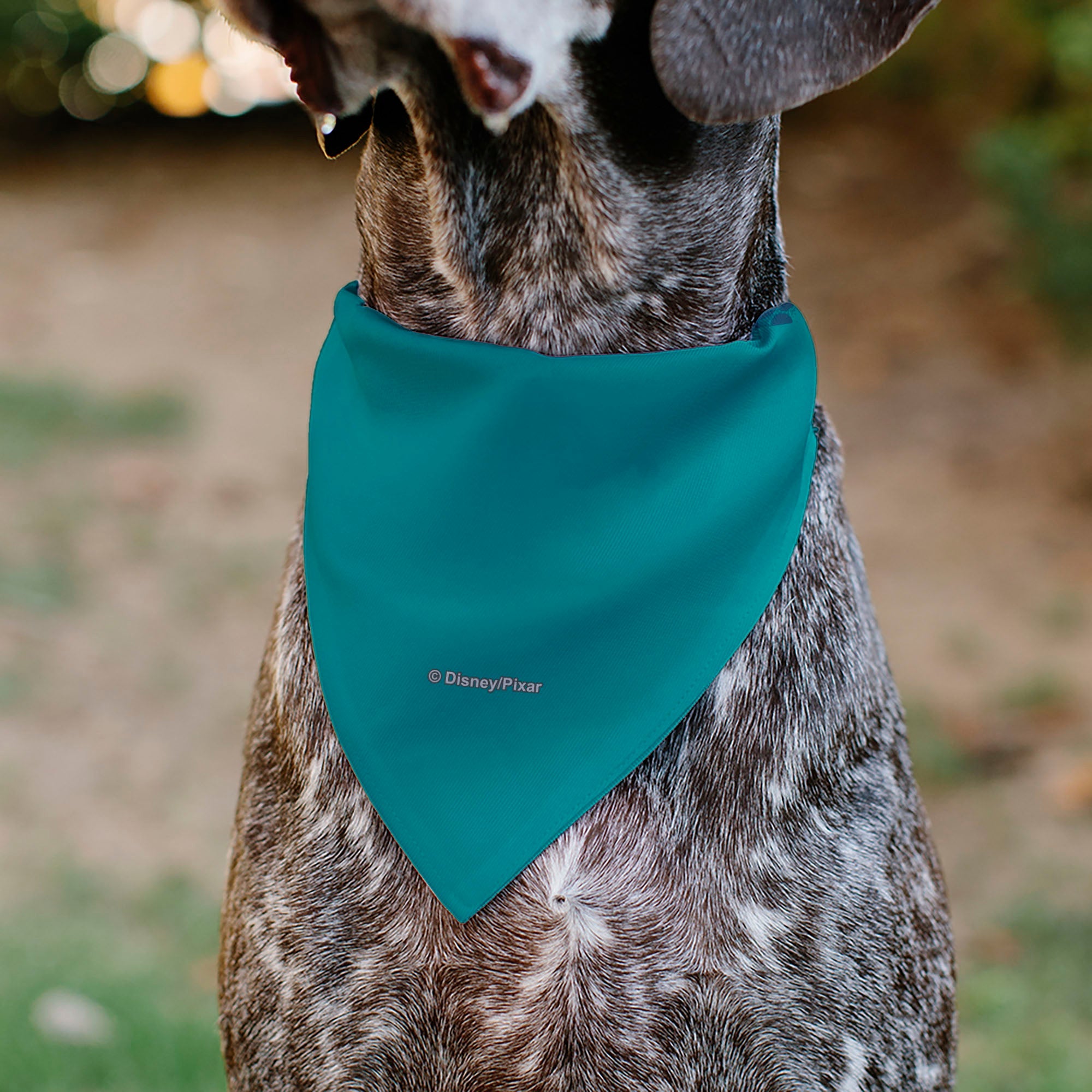 Pet Bandana - Toy Story Aliens NOH BAD DAYS Pizza Planet Pose Blues