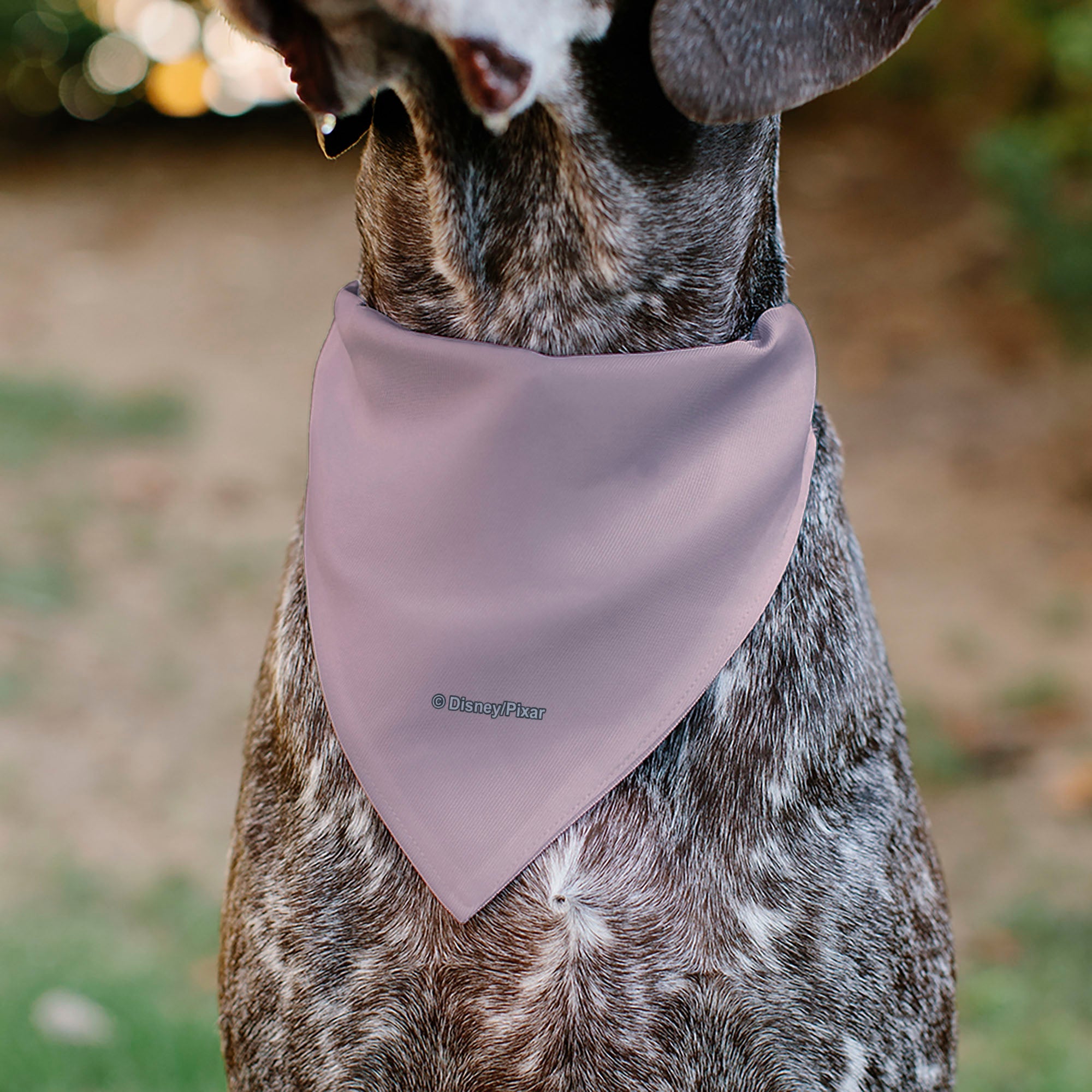 Pet Bandana - Toy Story Jessie HECK YES! Pose Pinks
