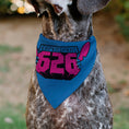 Load image into Gallery viewer, Pet Bandana - Stitch EXPERIMENT 626 Logo Blue/Pink
