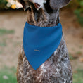 Load image into Gallery viewer, Pet Bandana - Stitch EXPERIMENT 626 Logo Blue/Pink
