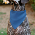 Load image into Gallery viewer, Pet Bandana - Donald Duck Sailor Suit Chest
