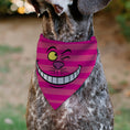 Load image into Gallery viewer, Pet Bandana - Alice in Wonderland Cheshire Cat Winking Smile Pinks
