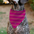 Load image into Gallery viewer, Pet Bandana - Alice in Wonderland Cheshire Cat Winking Smile Pinks
