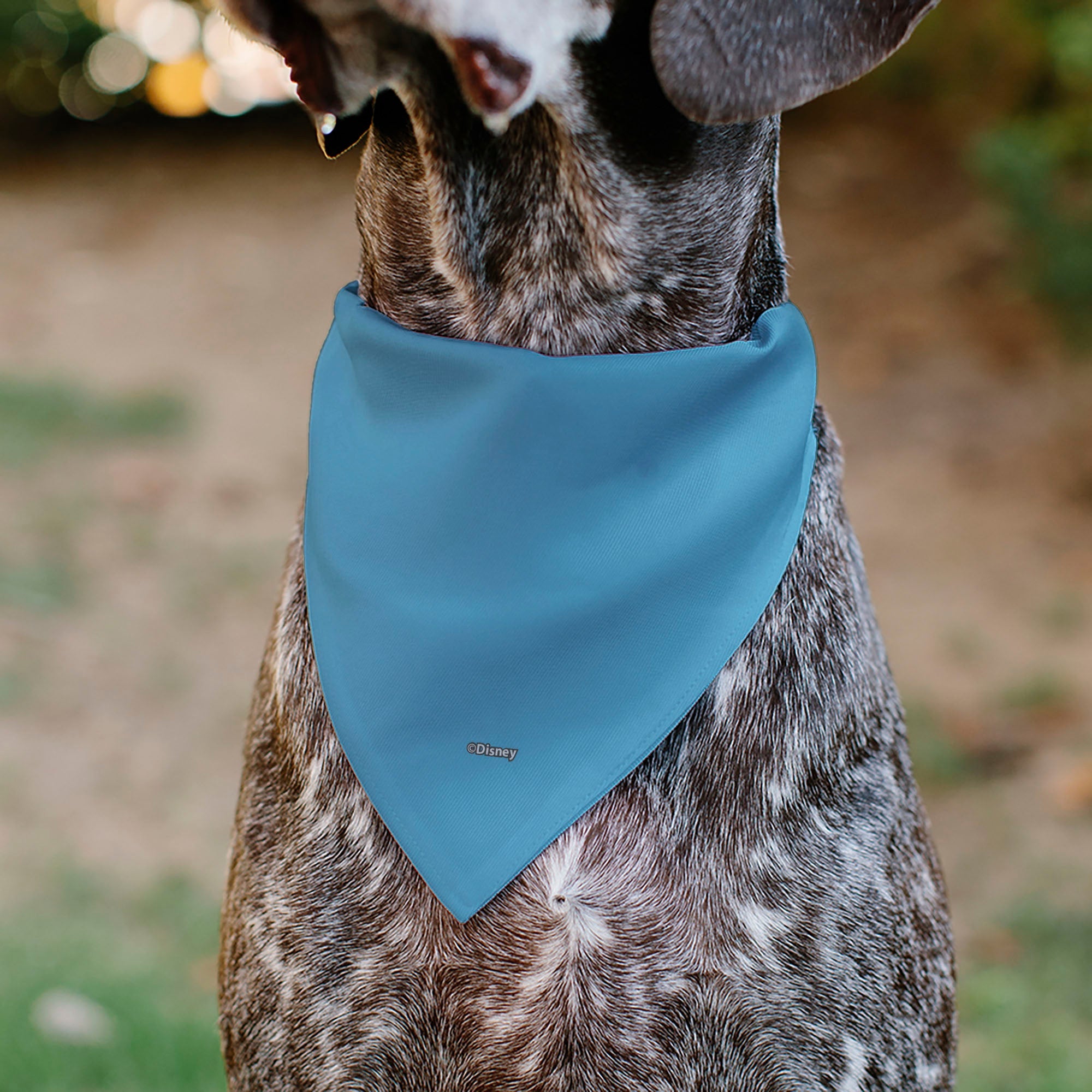 Pet Bandana - Stitch Grinning Pose Blue