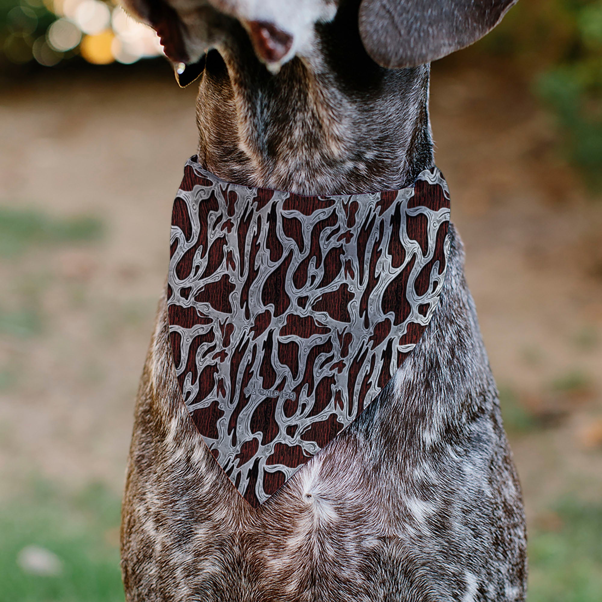 Pet Bandana - A Nightmare on Elm Street Freddy Melted Black/White/Red