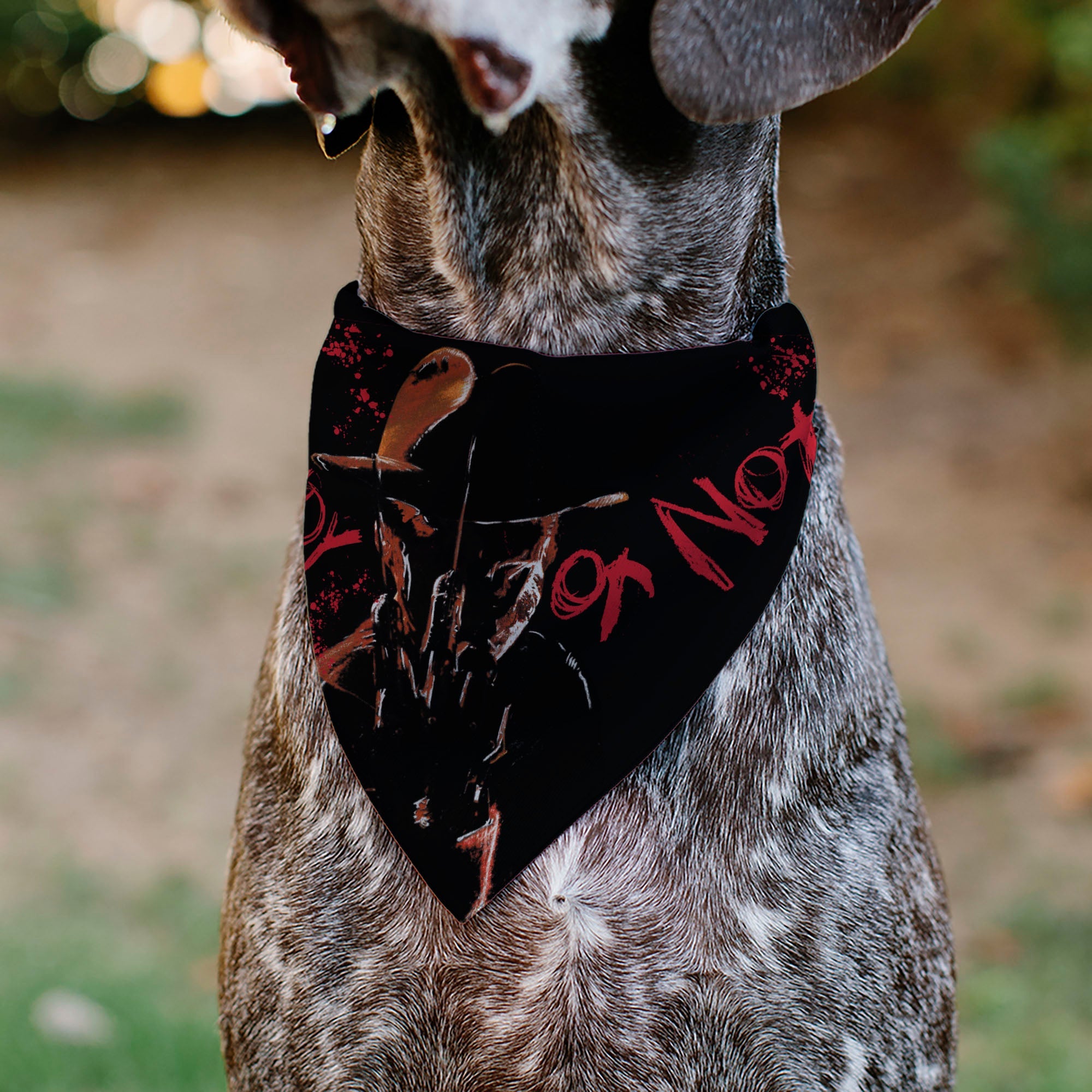 Pet Bandana - A Nightmare on Elm Street Freddy READY OR NOT HERE I COME Pose Black/Red