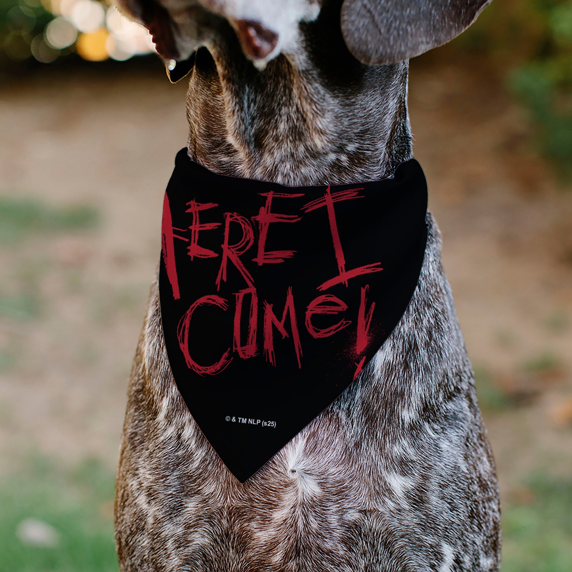 Pet Bandana - A Nightmare on Elm Street Freddy READY OR NOT HERE I COME Pose Black/Red