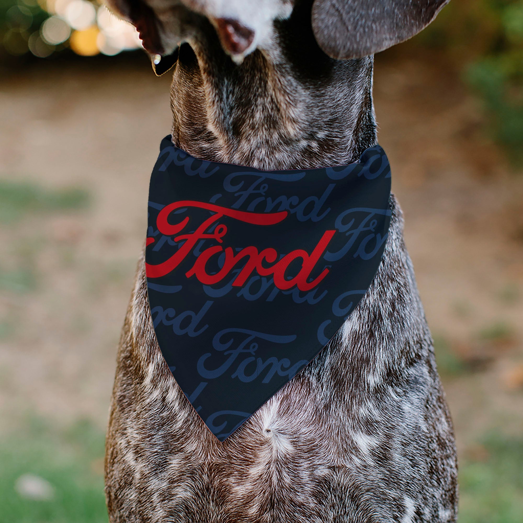 Pet Bandana - FORD Script Stacked Blues/Red