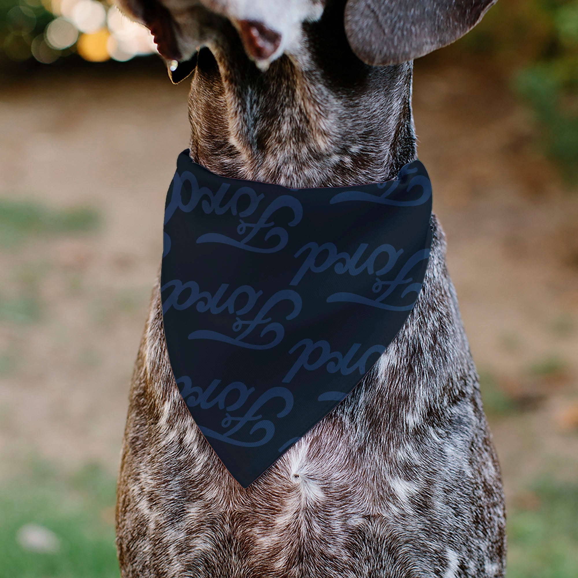 Pet Bandana - FORD Script Stacked Blues/Red