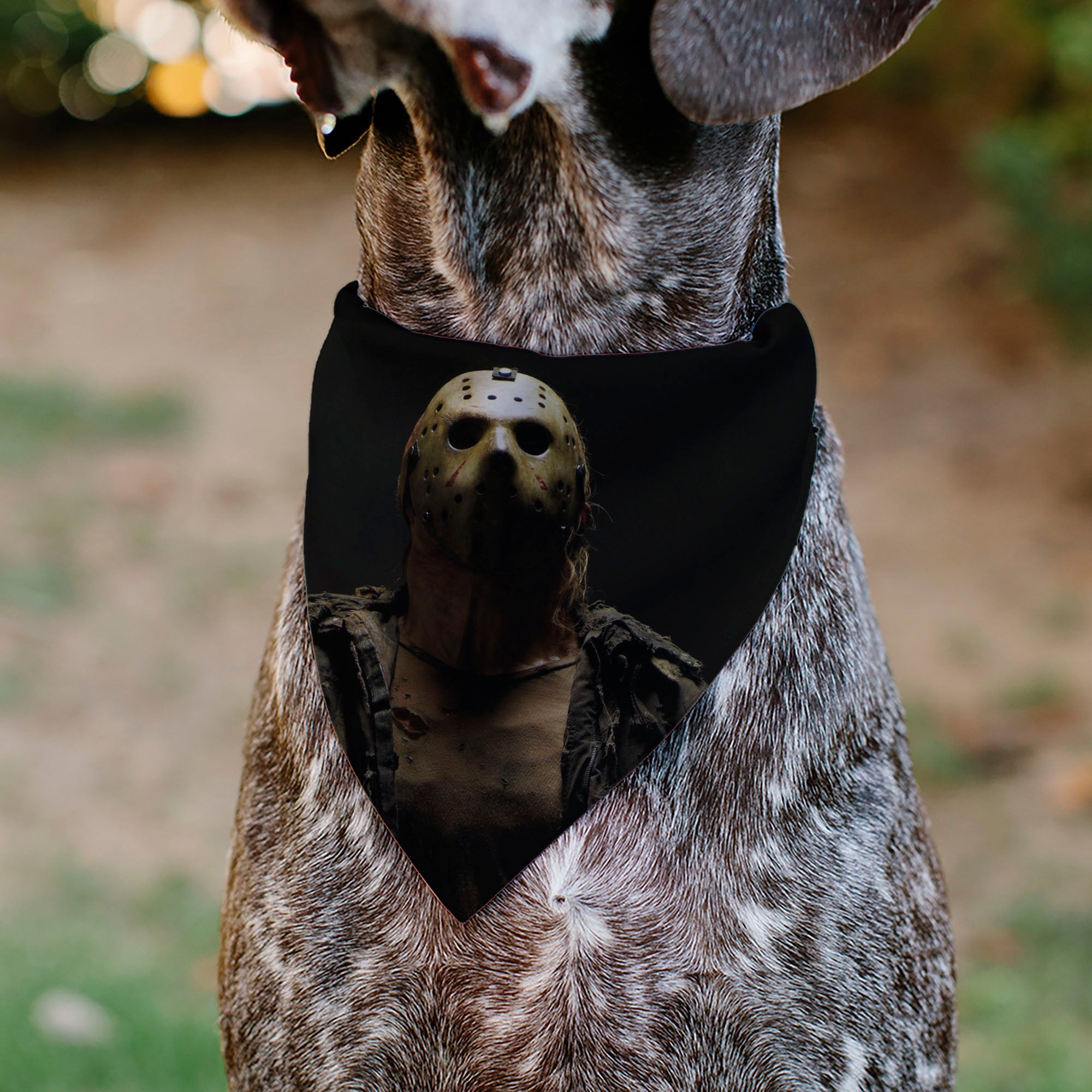Pet Bandana - FRIDAY THE 13TH Jason Pose and Title Logo Black/Red
