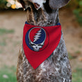 Load image into Gallery viewer, Pet Bandana - Grateful Dead Steal Your Face Logo Centered Red and Blue
