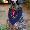Load image into Gallery viewer, Pet Bandana - Grateful Dead Steal Your Face Logo Centered Red and Blue
