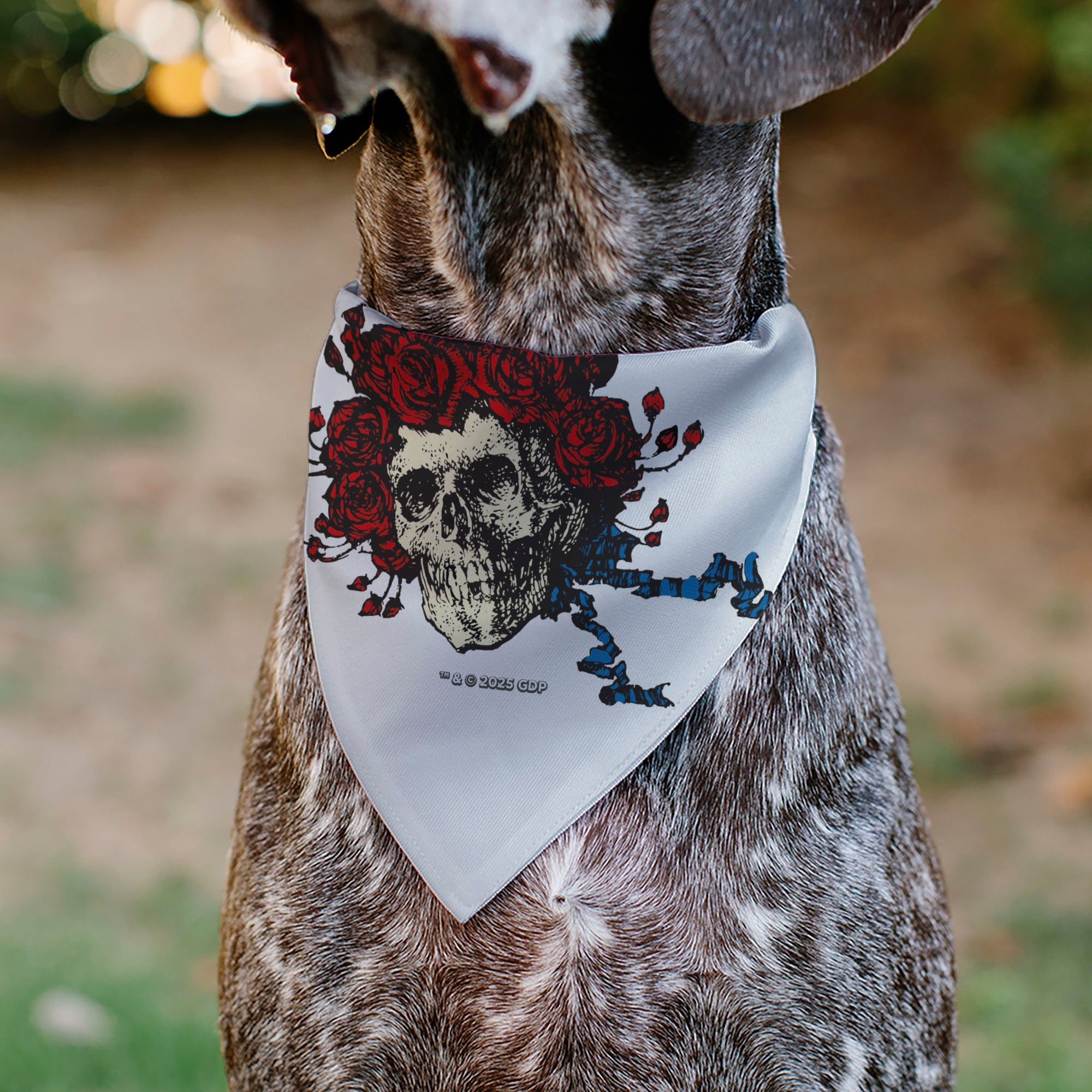 Pet Bandana - Grateful Dead Skull and Rose Face White