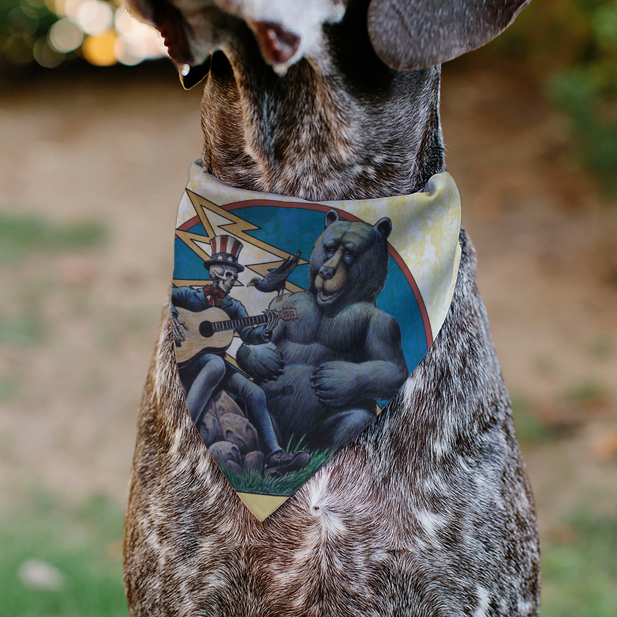 Pet Bandana - Grateful Dead Dave's Picks Volume Five Truman UCLA Cover Art