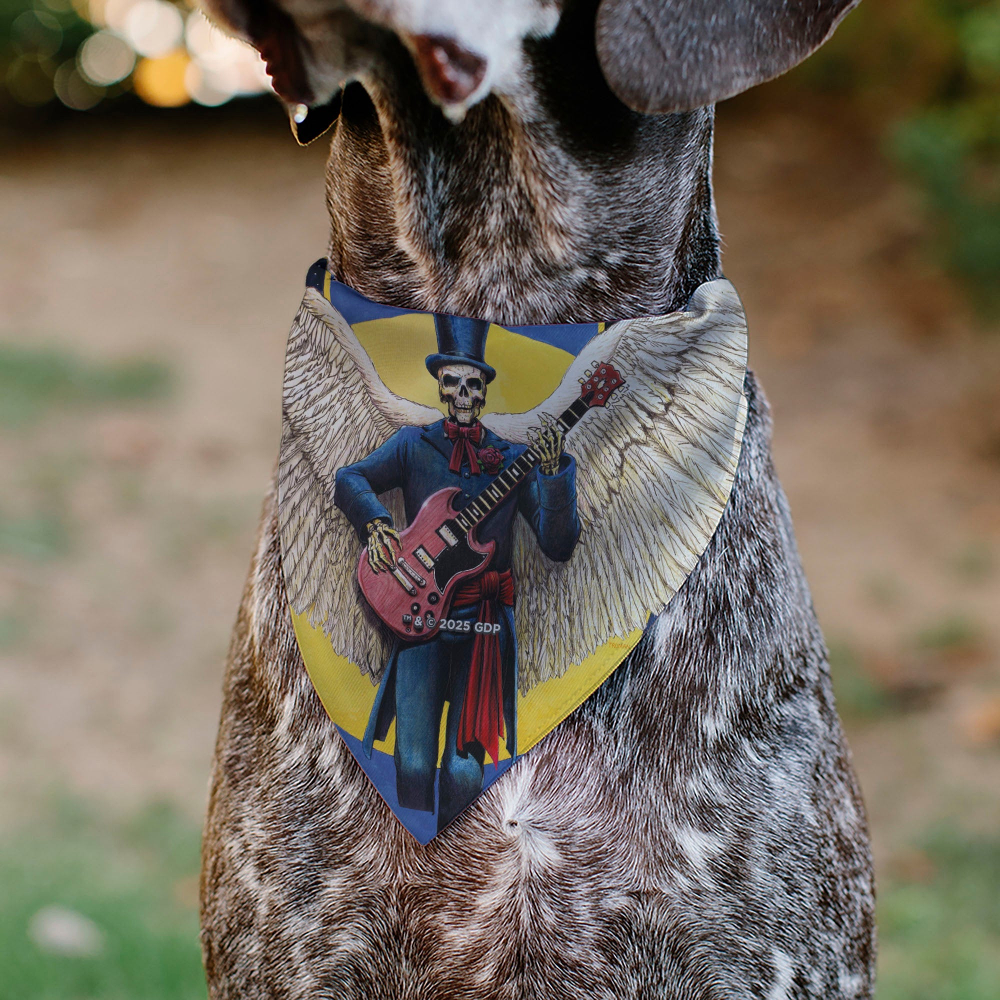 Pet Bandana - Grateful Dead Dave's Picks Volume Six San Francisco and St. Louis Skeleton Cover Art