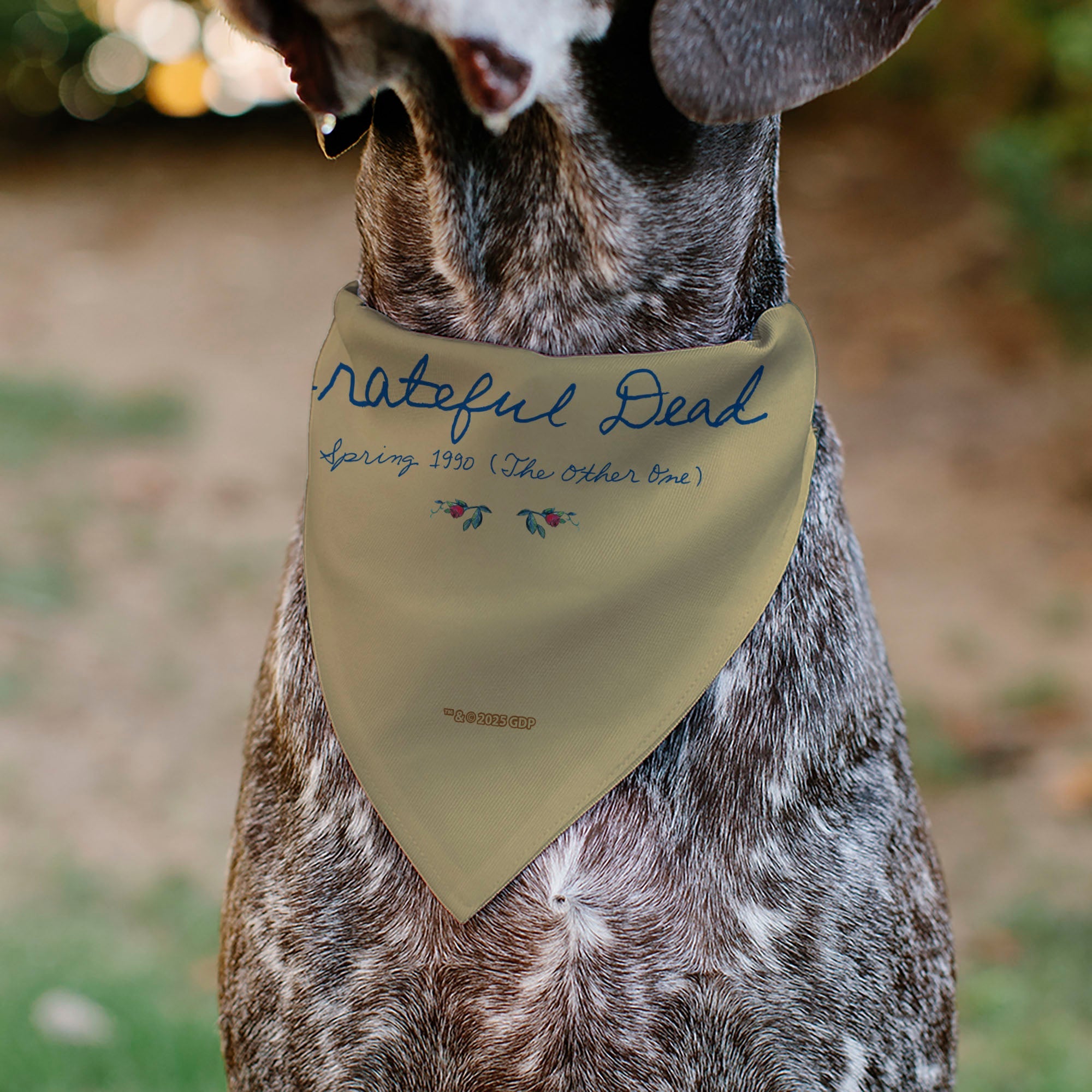 Pet Bandana - GRATEFUL DEAD THE OTHER ONE Roses and Text Tan/Blue/Red