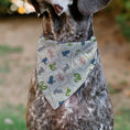Load image into Gallery viewer, Pet Bandana - Harry Potter School Tarot Cards Stacked Beige/Multi Color
