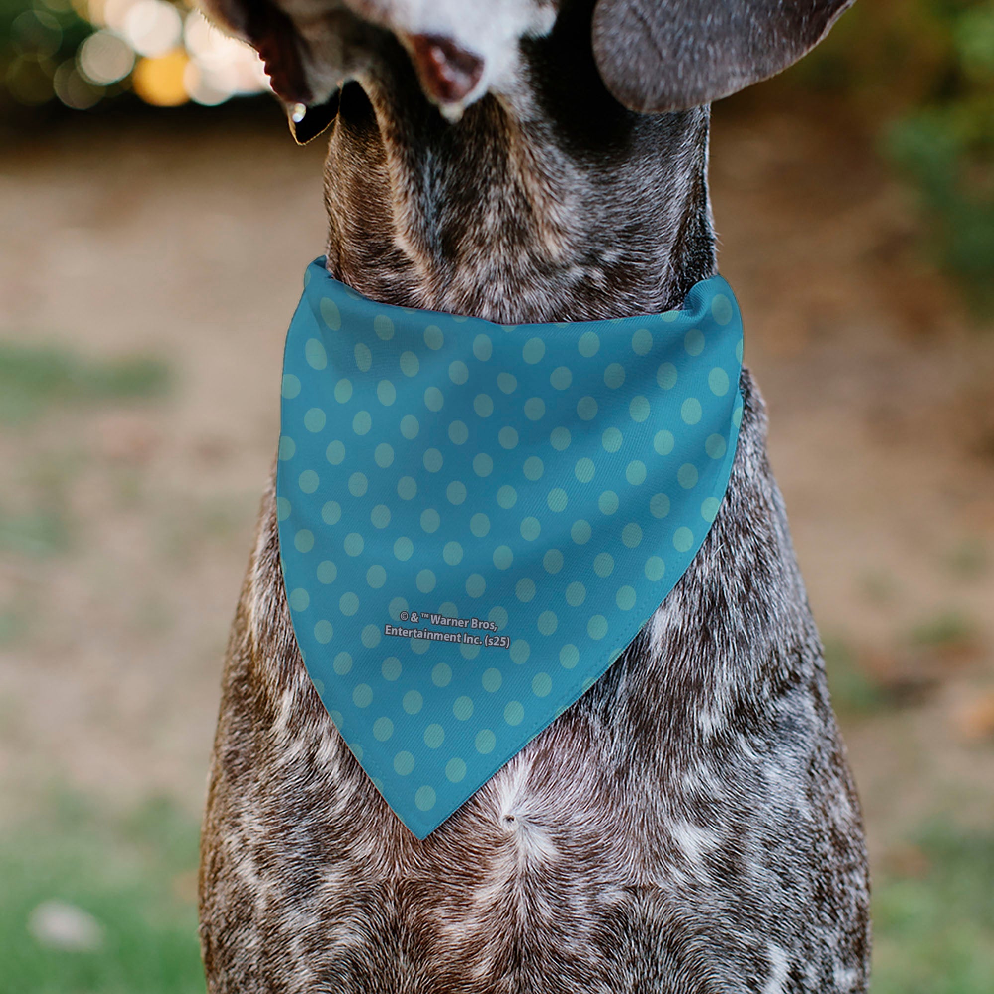 Pet Bandana - Chibi Harry Potter ENGORGIO CHARM Pose Polka Dot Blues