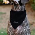Load image into Gallery viewer, Pet Bandana - Chibi Voldemort MASTER OF THE DARK ARTS Pose Black/Greens/Blues
