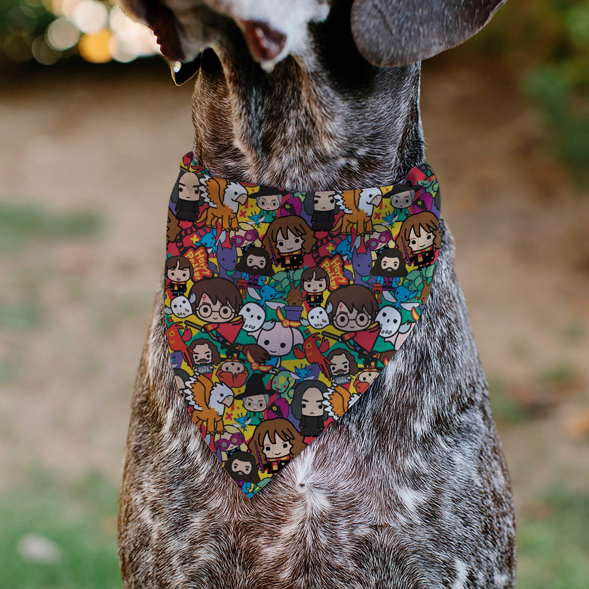 Pet Bandana - Harry Potter Chibi Charm Characters Stacked