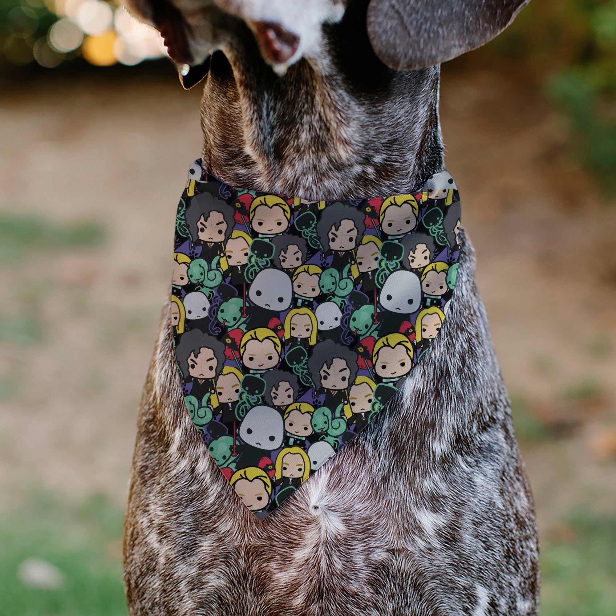 Pet Bandana - Harry Potter Chibi Charm Dark Arts Characters Stacked