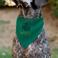 Load image into Gallery viewer, Pet Bandana - Harry Potter SLYTHERIN Traits Banner and Icons Greens/Yellow

