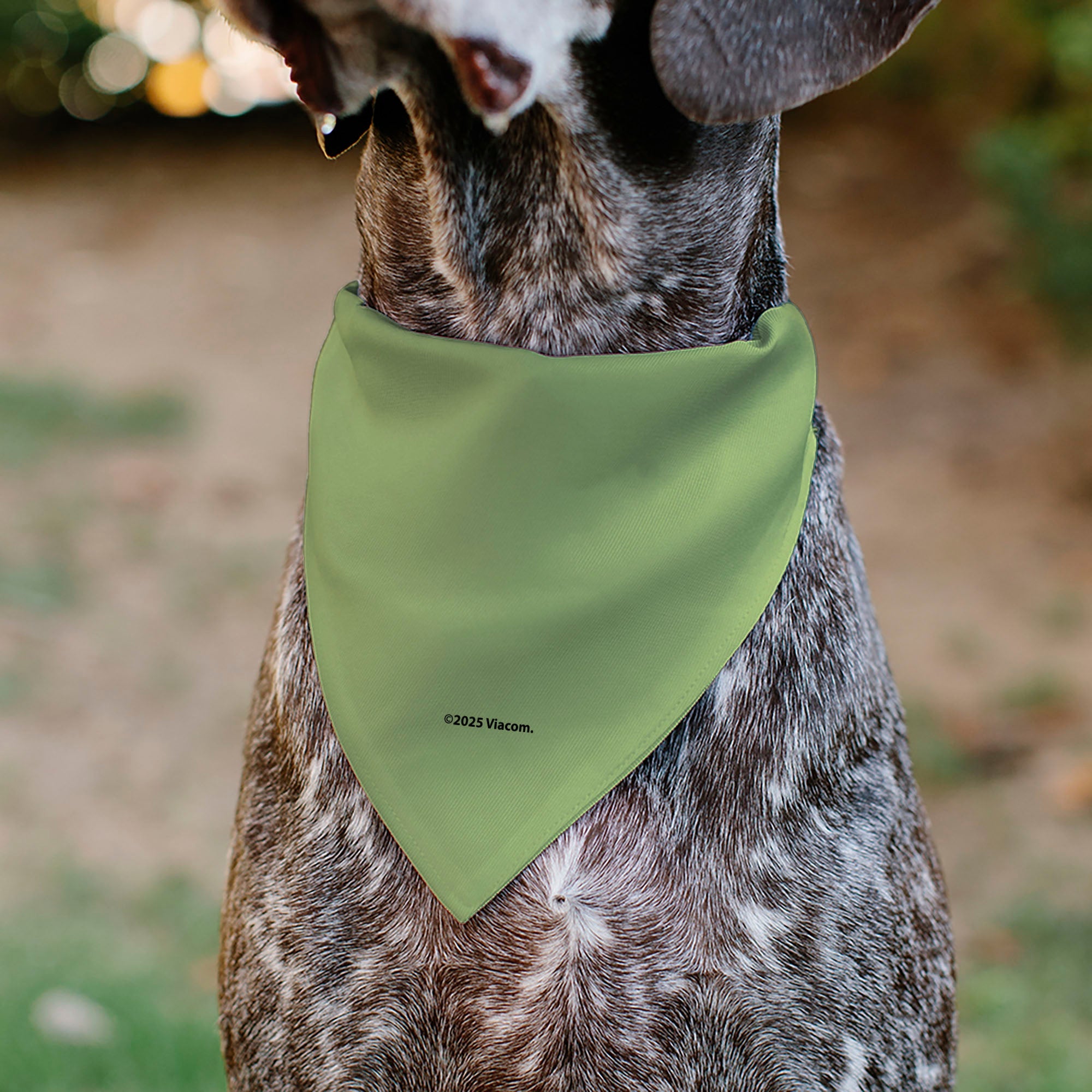 Pet Bandana - Invader Zim GIR Full Body Pose Close-Up Greens